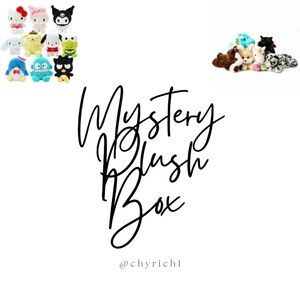 ✨Mystery Plush Box ✨